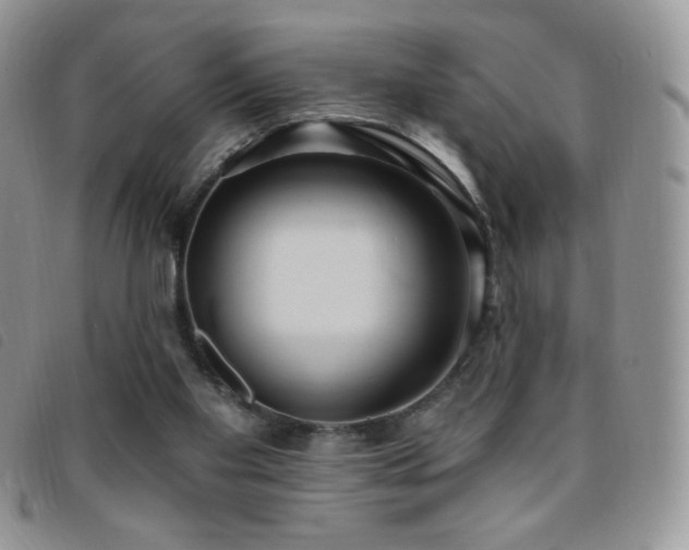 X0000095960109200801111410