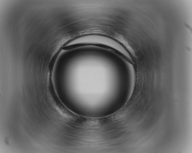 X0000095960110200801111410