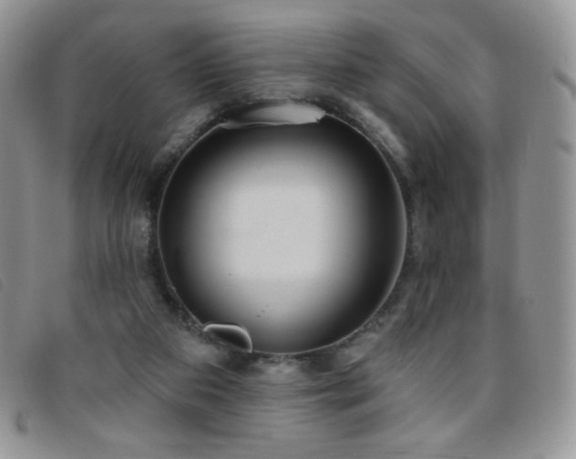 X0000095960113200801111410