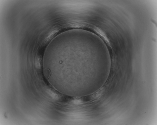X0000095960114200801111410