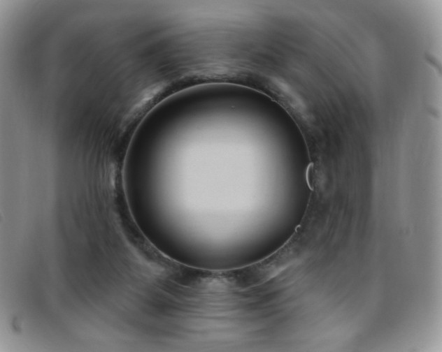 X0000095960115200801111410