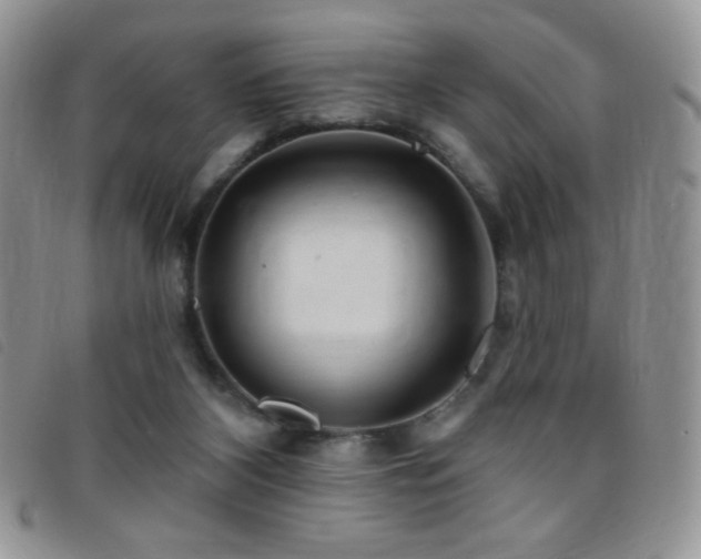 X0000095960116200801111410