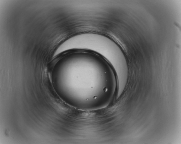 X0000095960117200801111410
