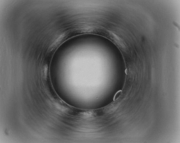 X0000095960118200801111410
