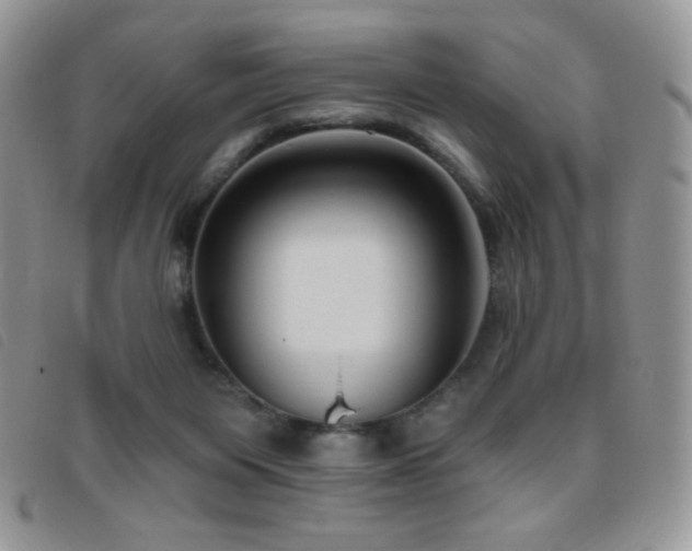 X0000095960119200801111410