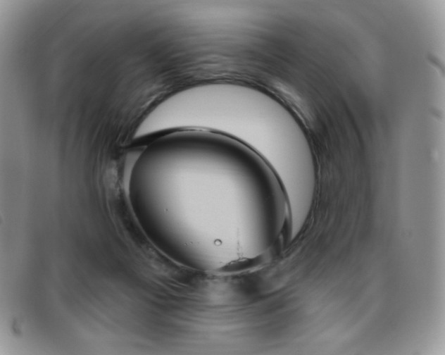 X0000095960121200801111410
