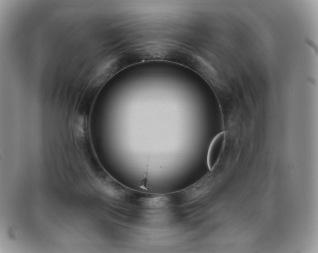 X0000095960122200801111410