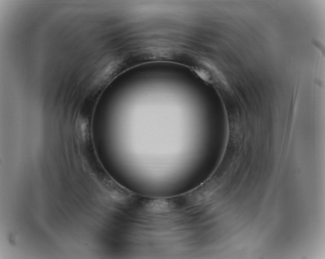 X0000095960123200801111410