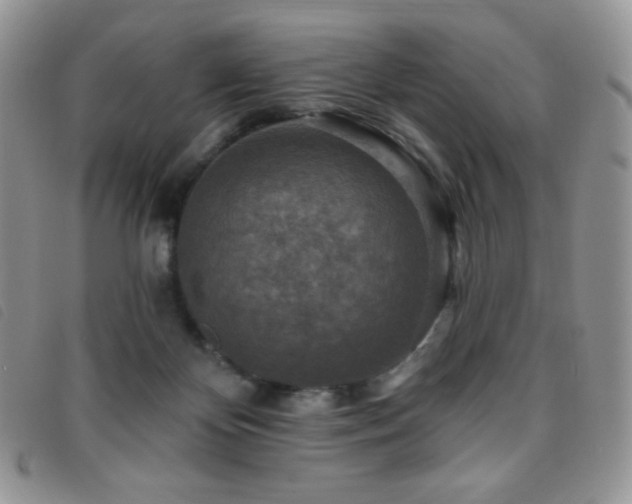 X0000095960124200801111410
