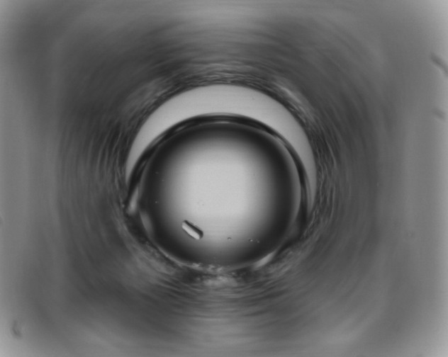 X0000095960125200801111410