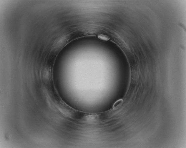 X0000095960126200801111410