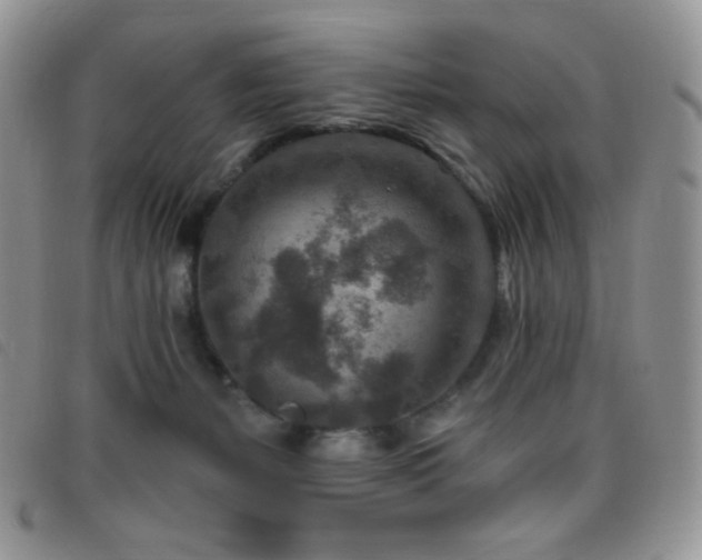 X0000095960127200801111410