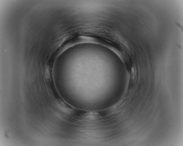 X0000095960128200801111410