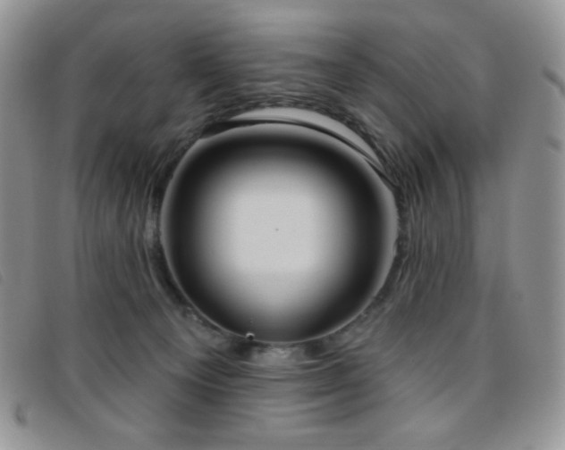 X0000095960129200801111410
