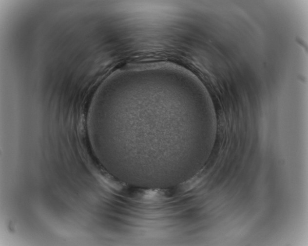 X0000095960130200801111410