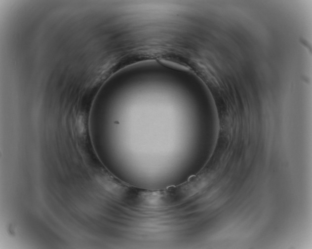 X0000095960131200801111410