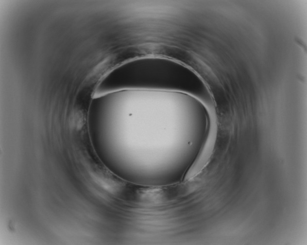 X0000095960132200801111410
