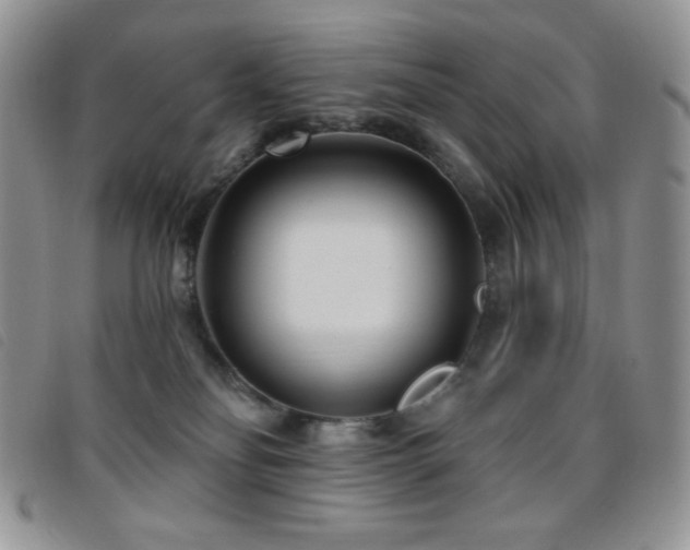 X0000095960134200801111410