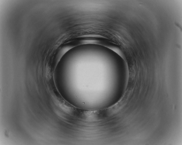 X0000095960136200801111410