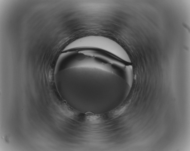 X0000095960139200801111410