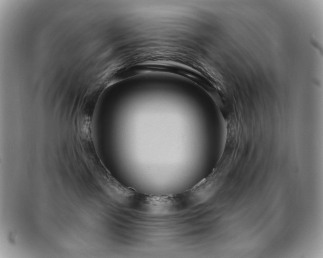 X0000095960141200801111410