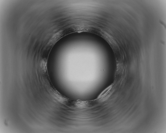 X0000095960142200801111410