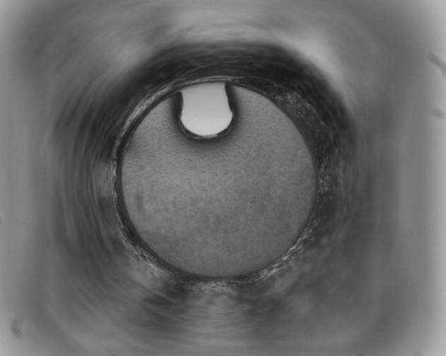 X0000095960146200801111409