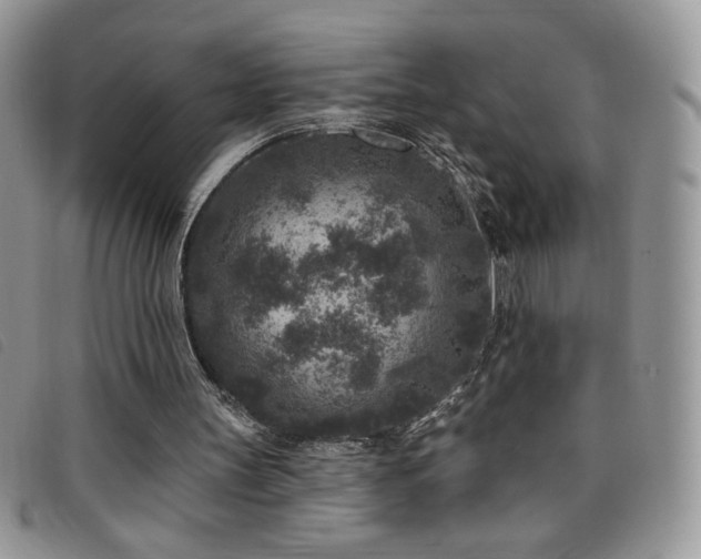 X0000095960147200801111409