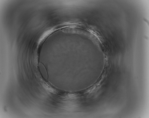 X0000095960149200801111409