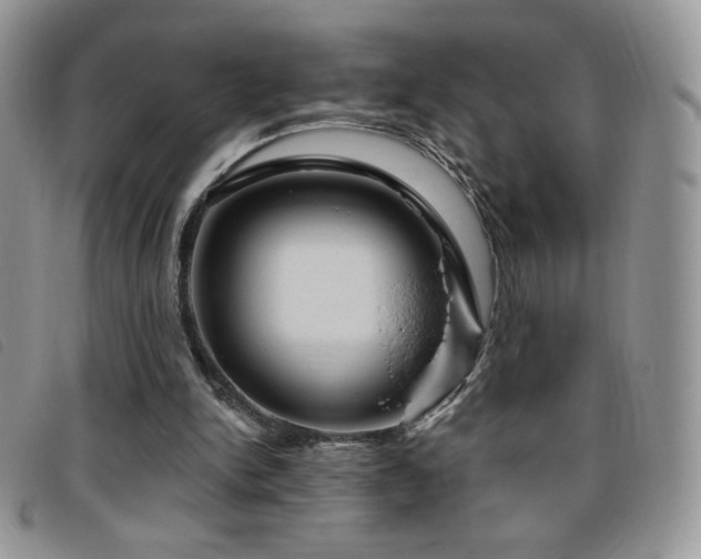 X0000095960150200801111409