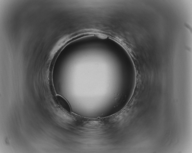 X0000095960151200801111409