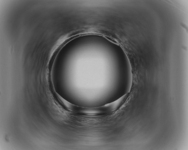X0000095960152200801111409