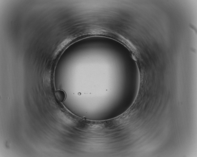 X0000095960155200801111409