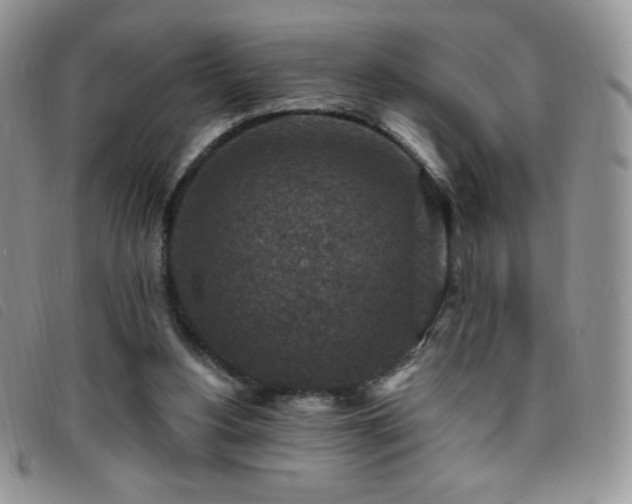 X0000095960156200801111409