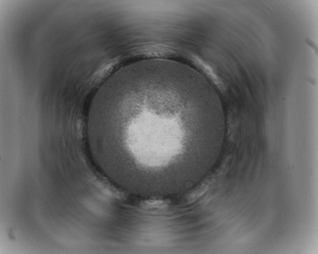 X0000095960161200801111409