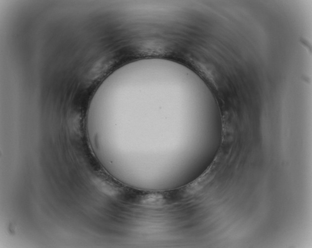 X0000095960162200801111409