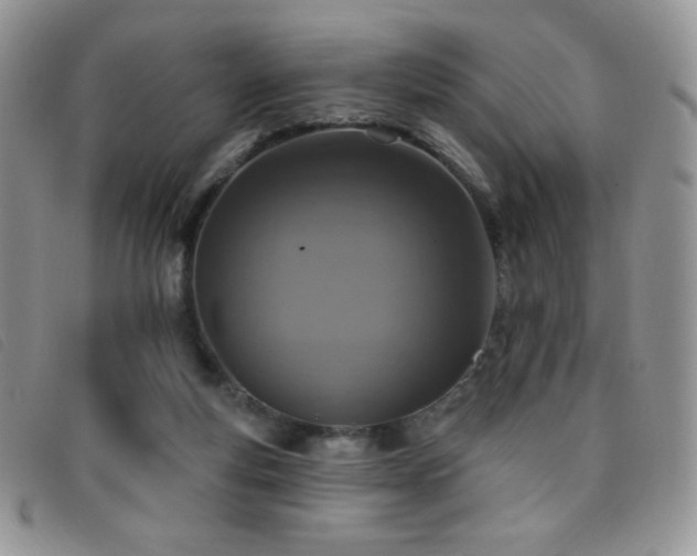 X0000095960163200801111409