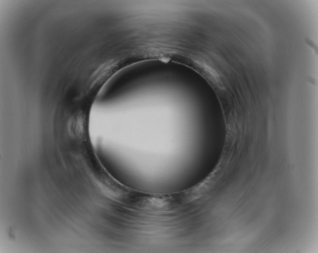 X0000095960166200801111409