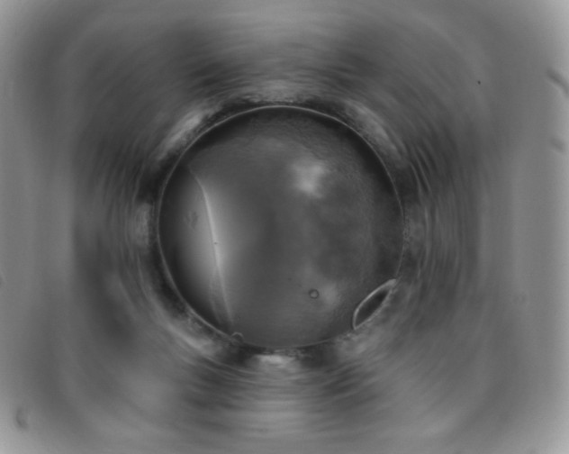 X0000095960167200801111409