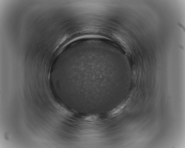 X0000095960168200801111410
