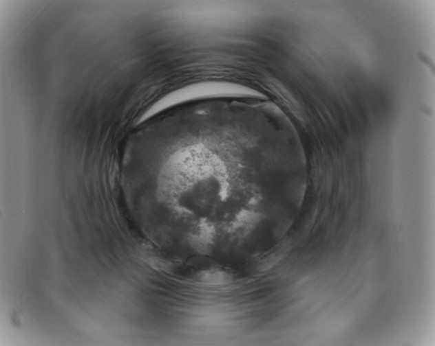 X0000095960169200801111410