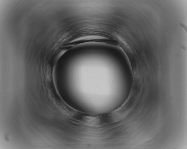 X0000095960170200801111410