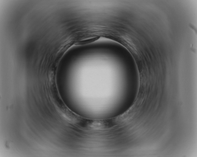 X0000095960171200801111410