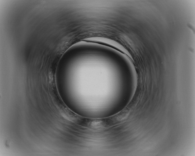 X0000095960173200801111410