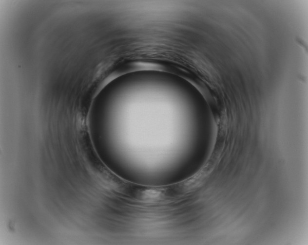 X0000095960176200801111410