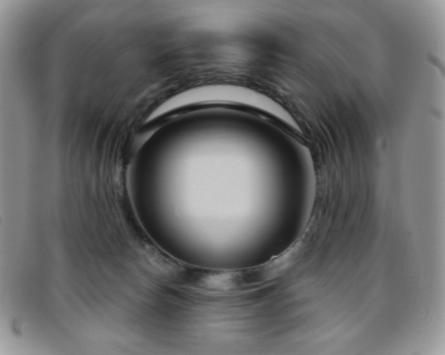 X0000095960178200801111410
