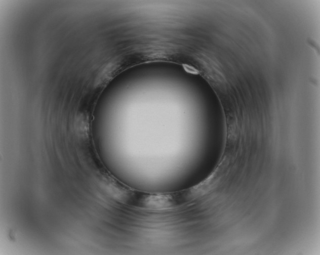 X0000095960179200801111410
