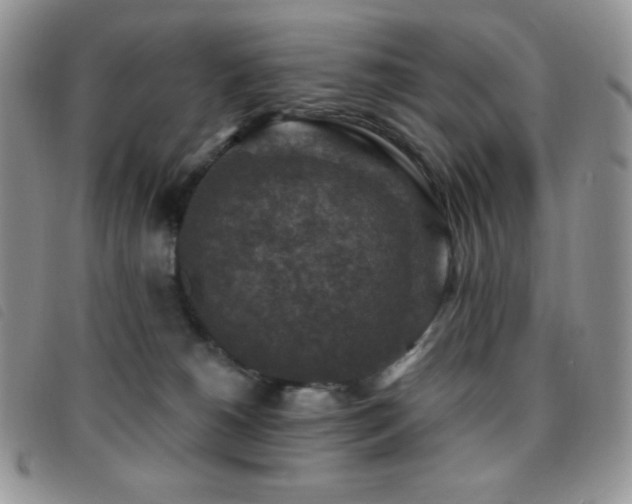 X0000095960180200801111410