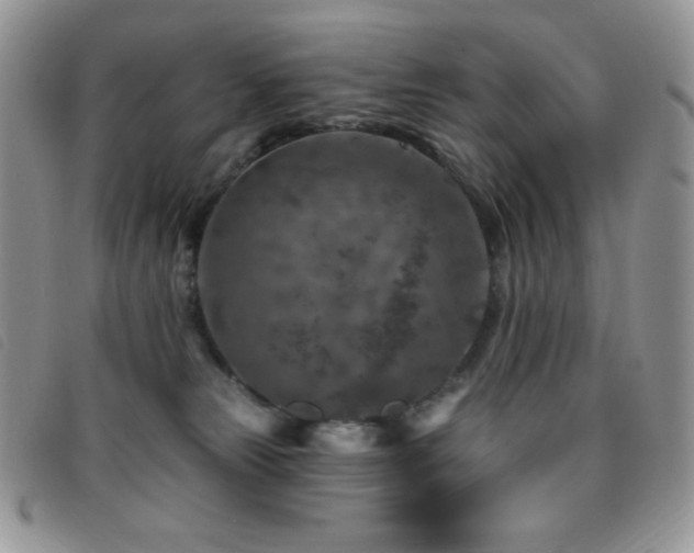 X0000095960181200801111410