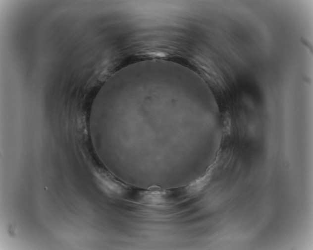 X0000095960182200801111410